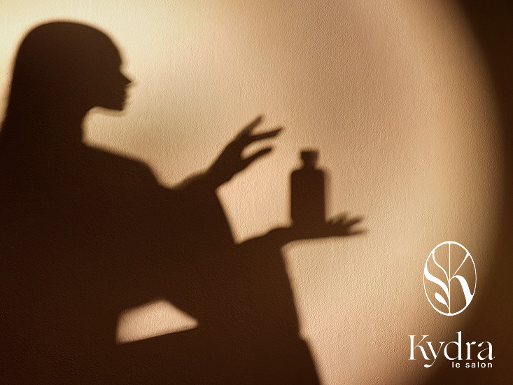 Retouche Kydra Le Salon