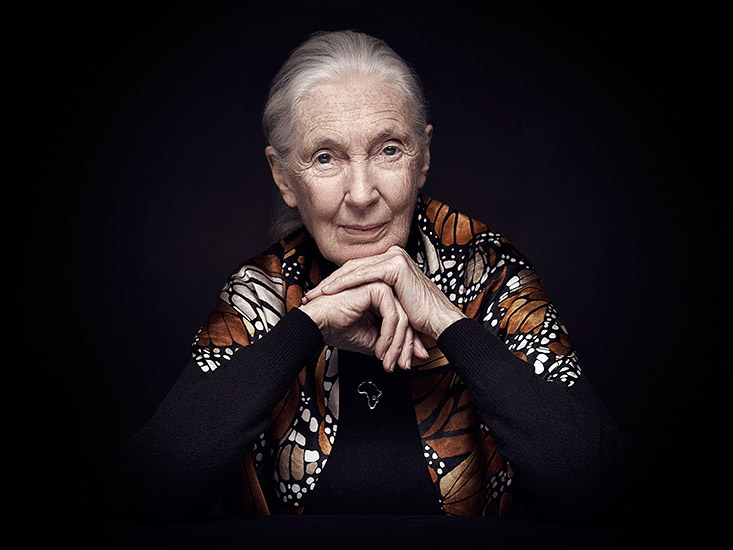 Retouche Jane Goodall